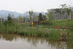 坪河公园