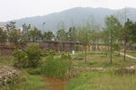 坪河公园