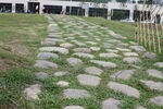坪河公园