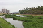 坪河公园