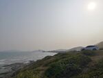 惠州黑排角