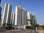 惠州大亚湾