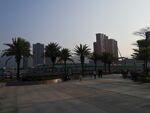 惠州大亚湾
