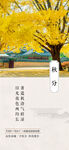 秋分  