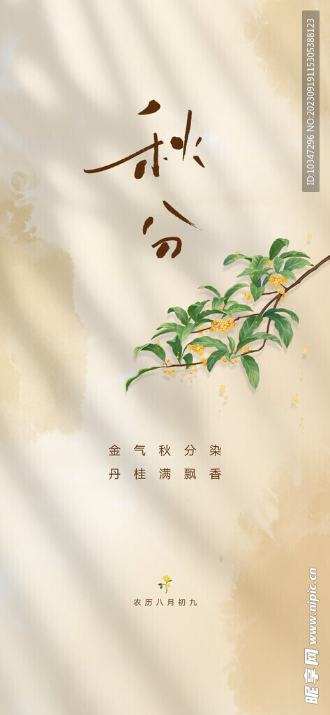 秋分  