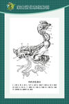 家禽的消化系统