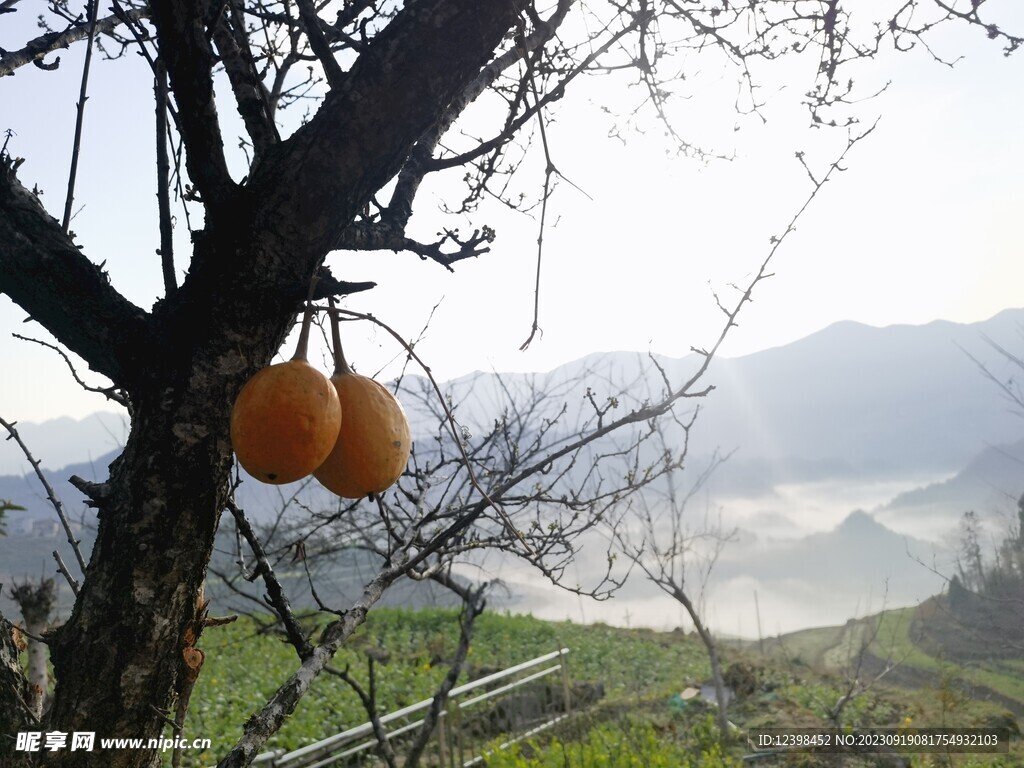 乡村晨曦美景