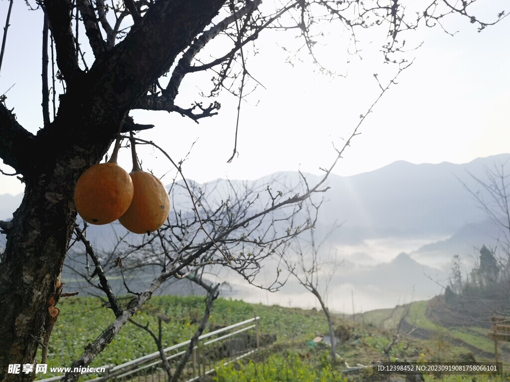 乡村晨曦美景