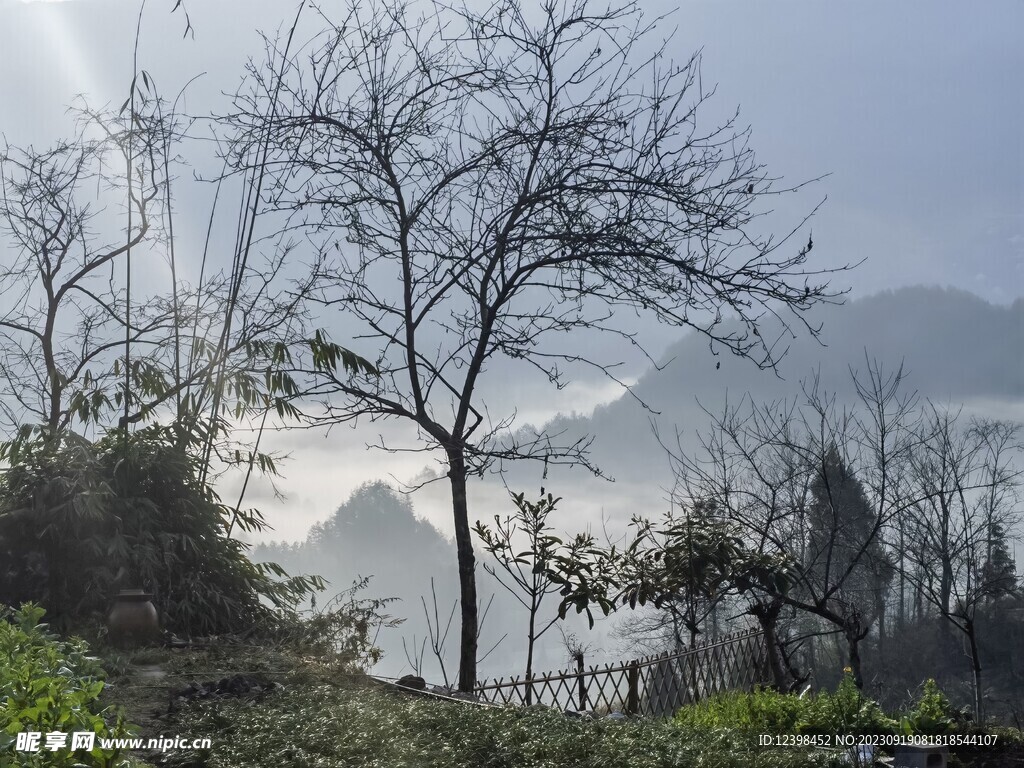 田园晨曦美景