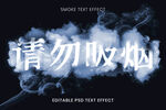 烟雾字体样机