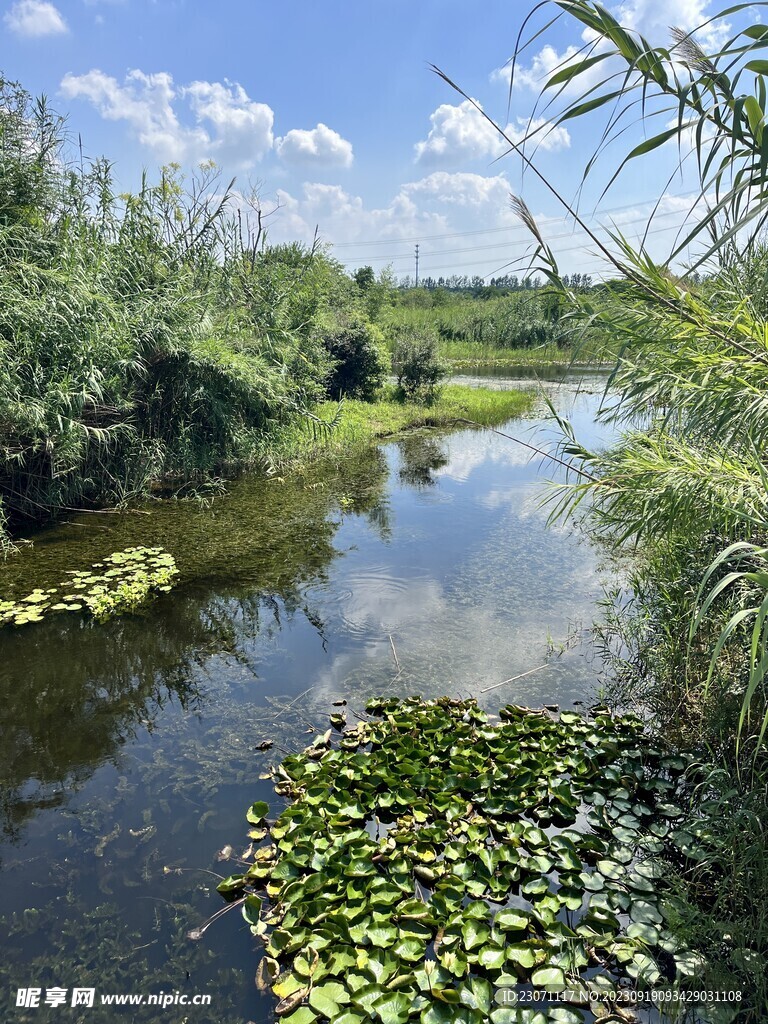 湿地公园