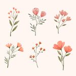 手绘花图片