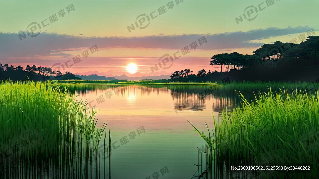 沙家浜浓浓绿色芦苇荡湖水面晚霞
