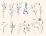 手绘花草