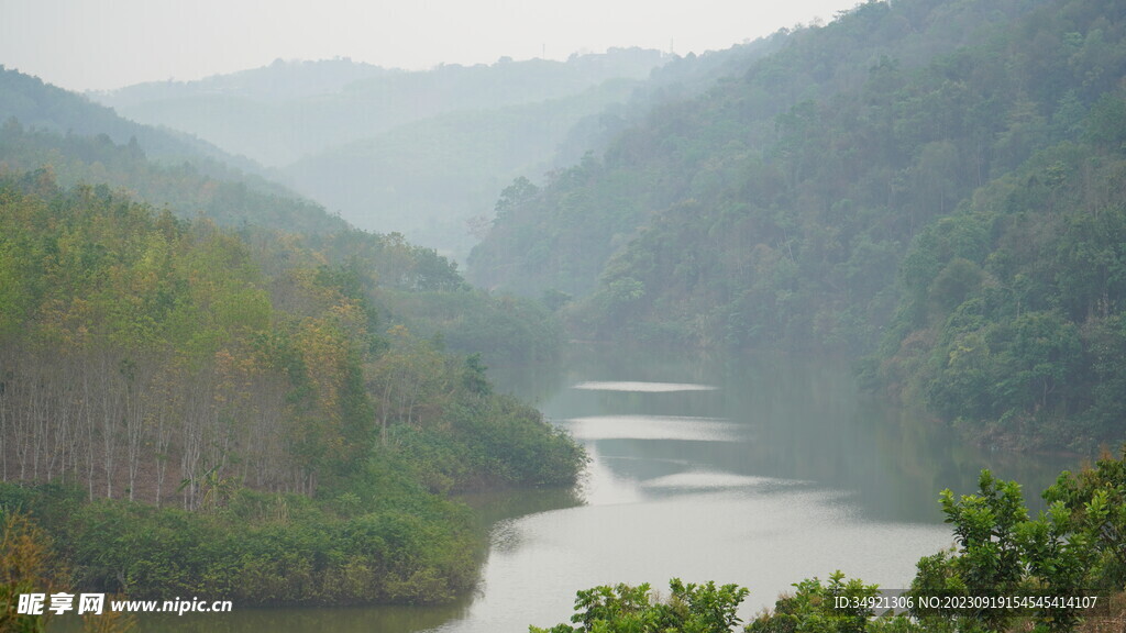 水库两边茂密的森林美景