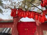 红山公园