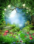 梦幻森林