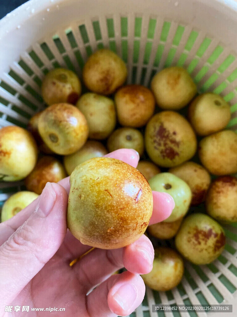 冬枣