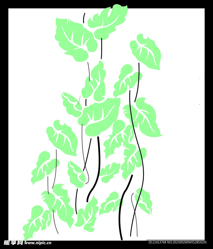 绿植绿叶植物