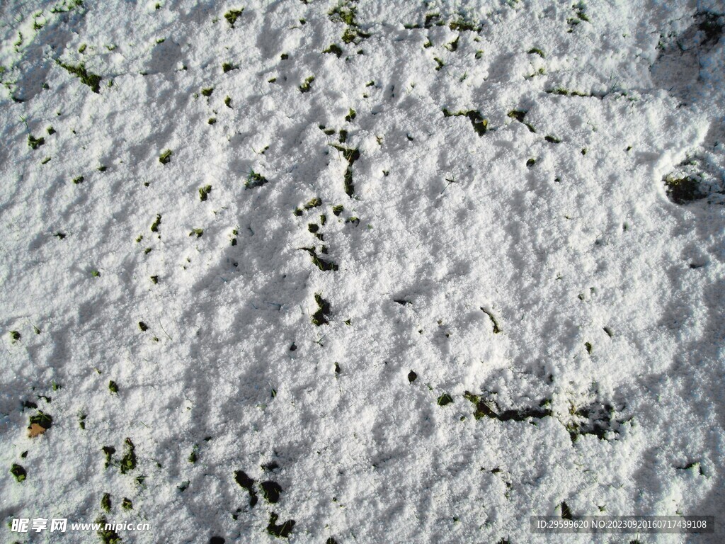 雪地