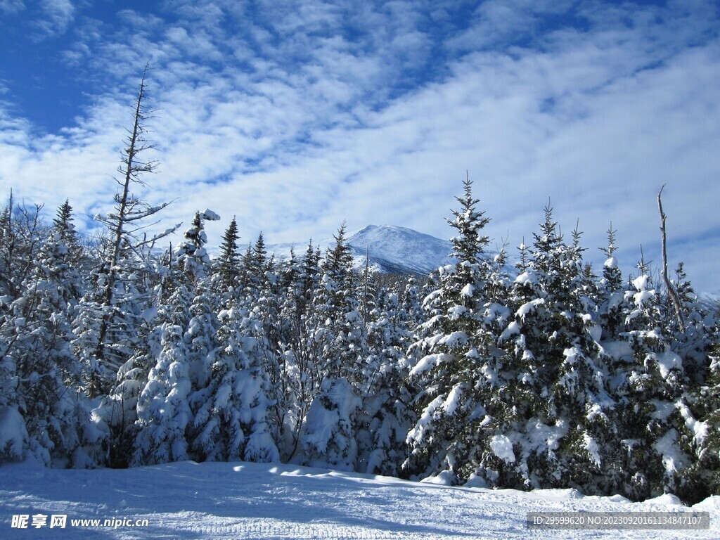 雪景