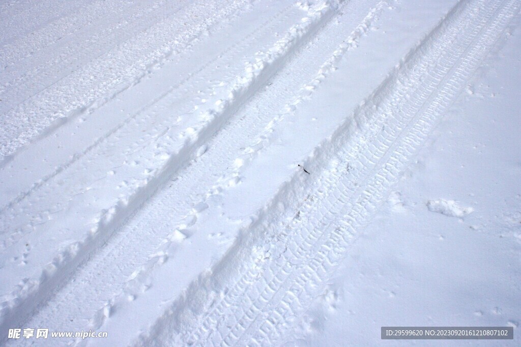 雪地