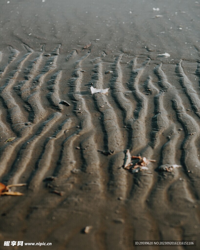 沙滩