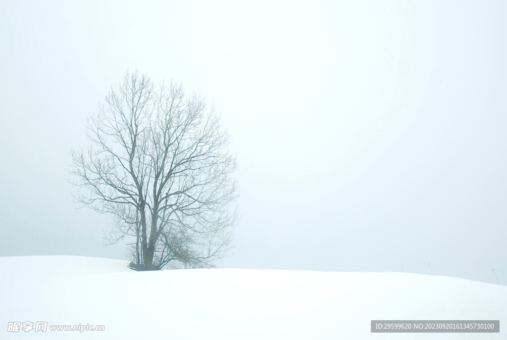 雪景