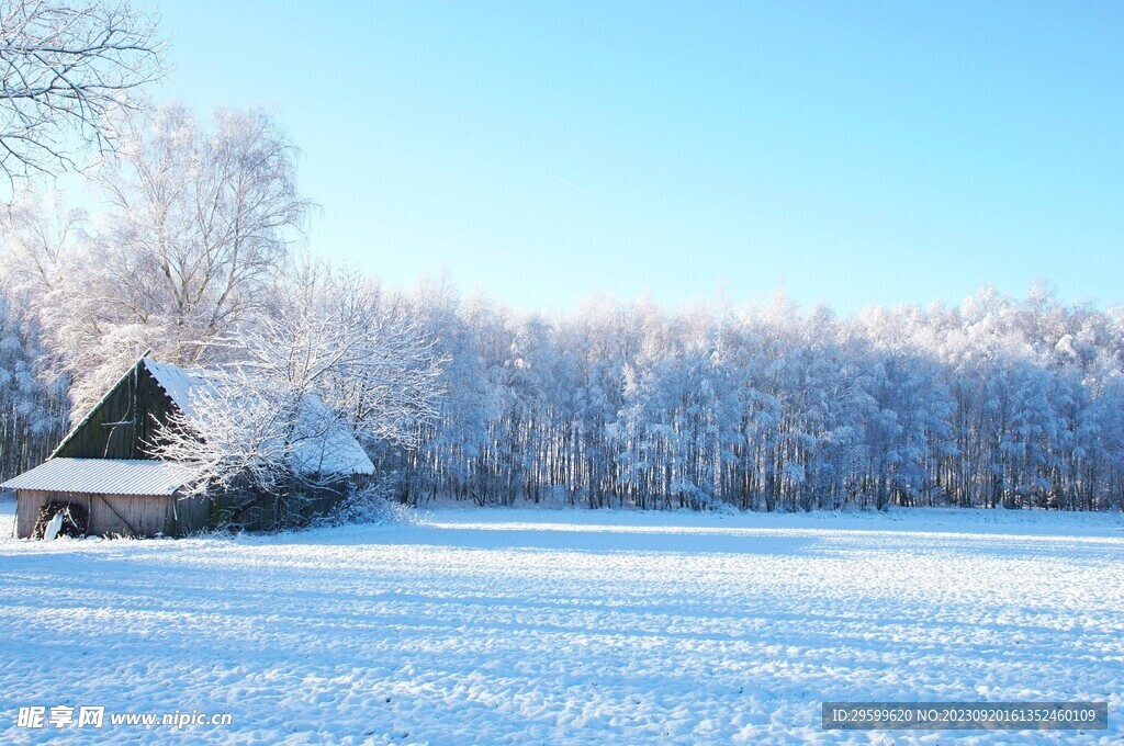 雪景