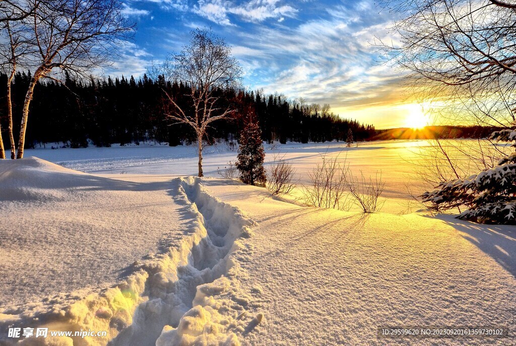 雪景