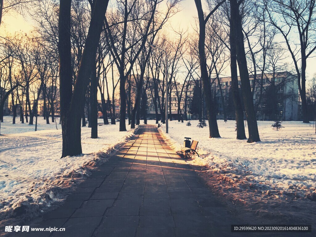 雪景