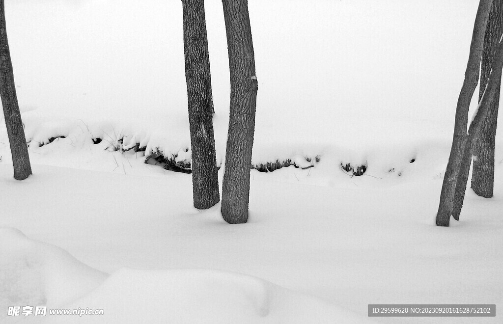 雪景