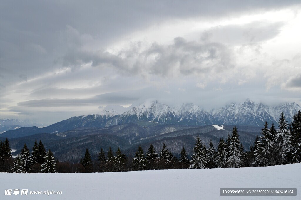 雪景