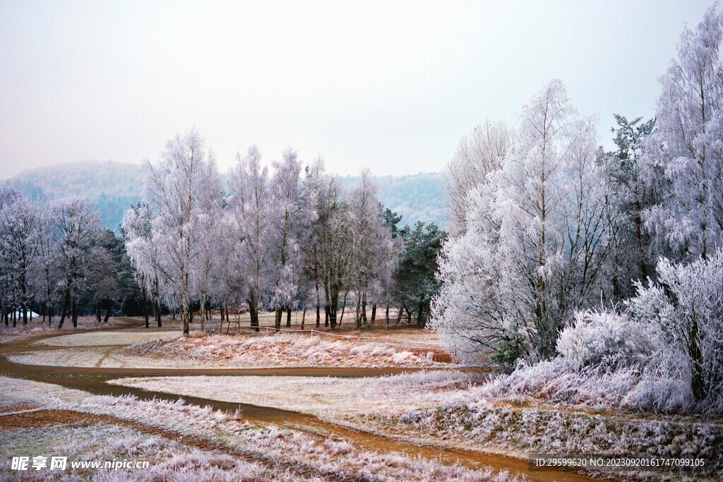 雪景