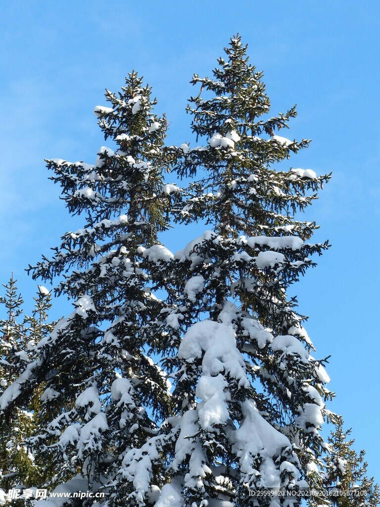 雪景