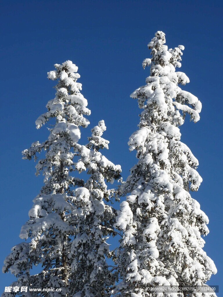 雪景