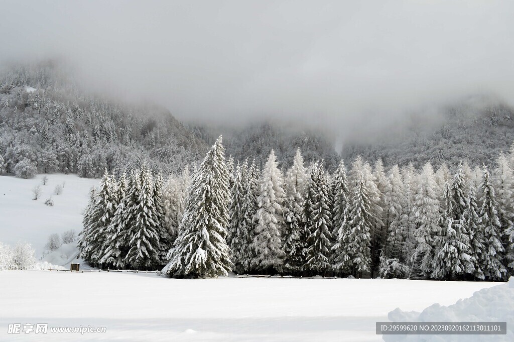 雪景