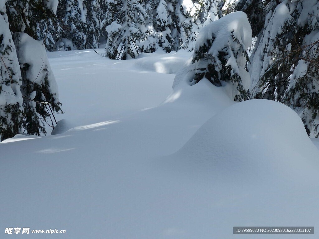 雪景