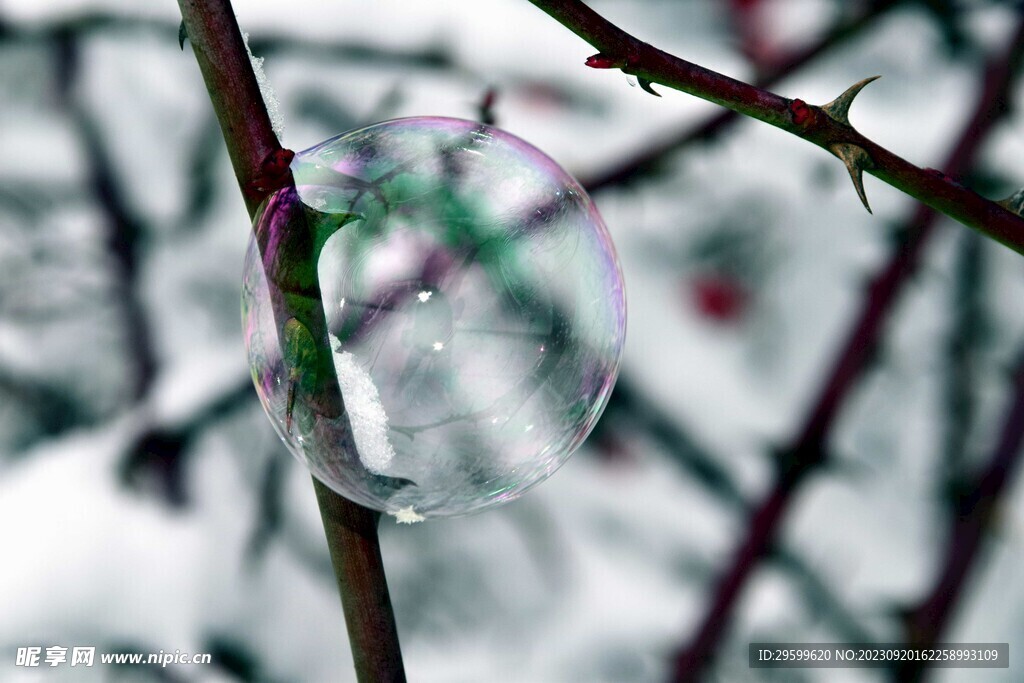 雪花