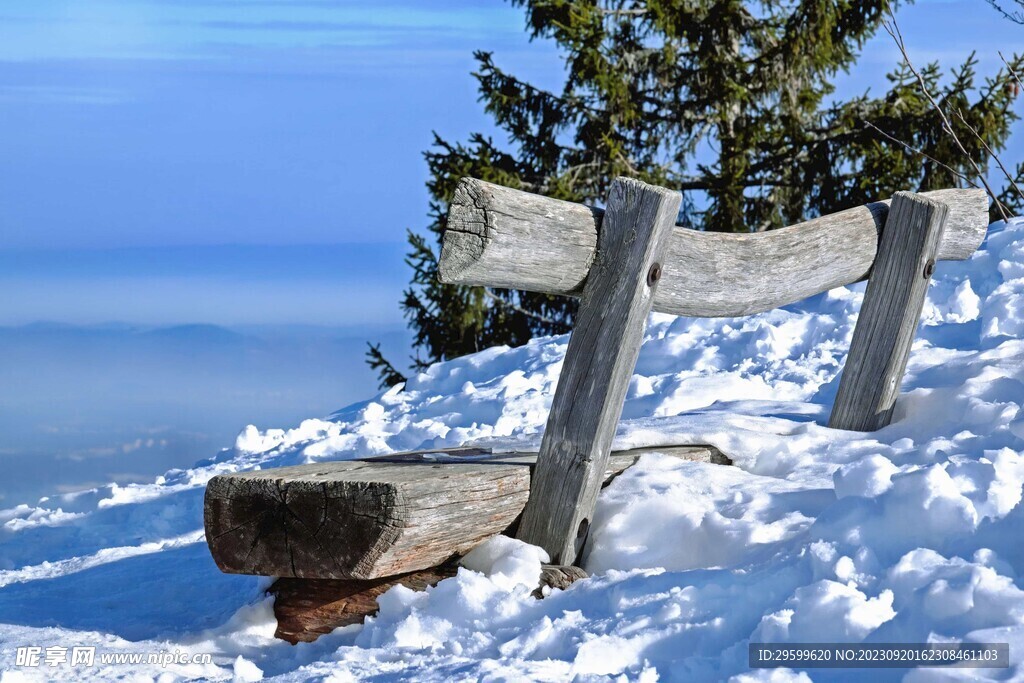 雪景