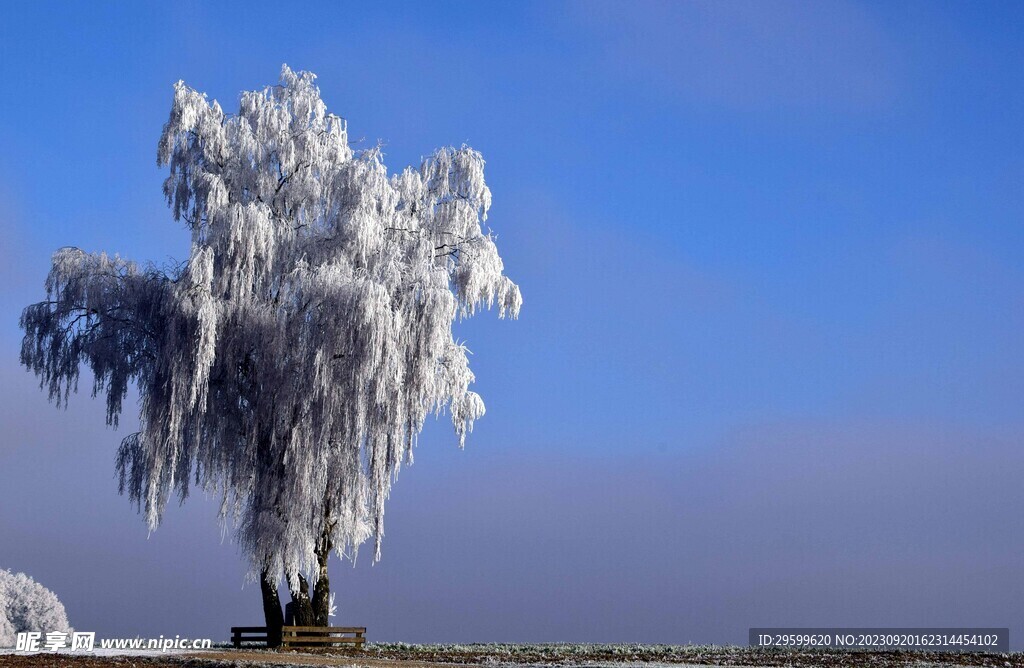 雪景