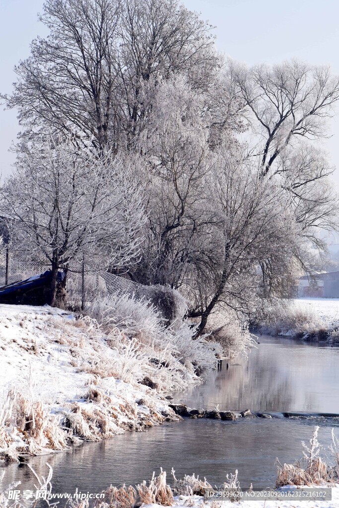 雪景