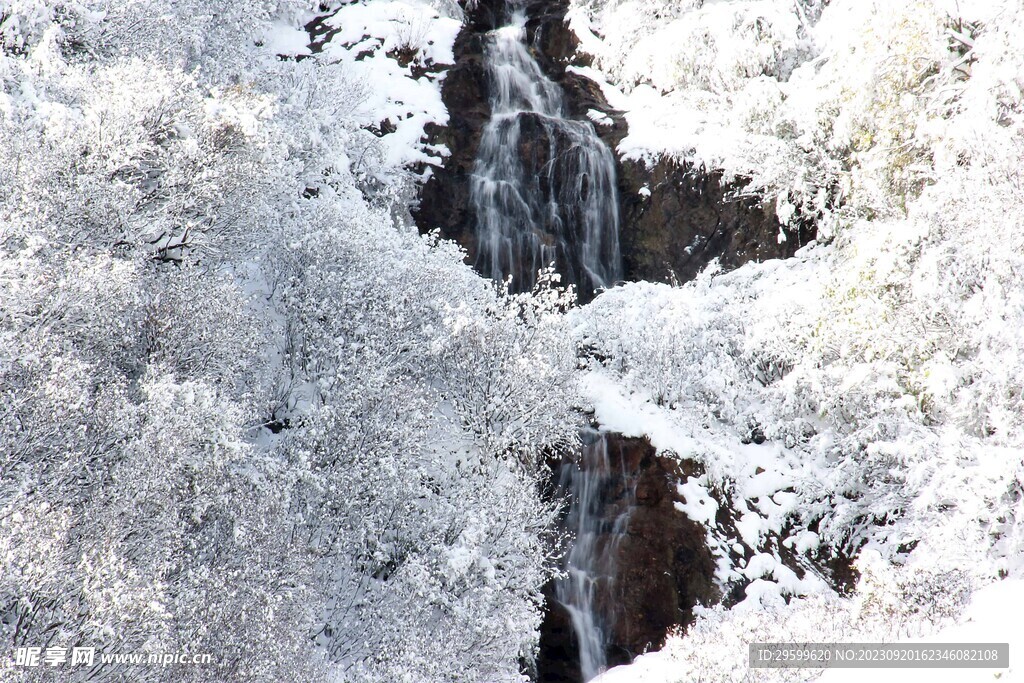 雪景