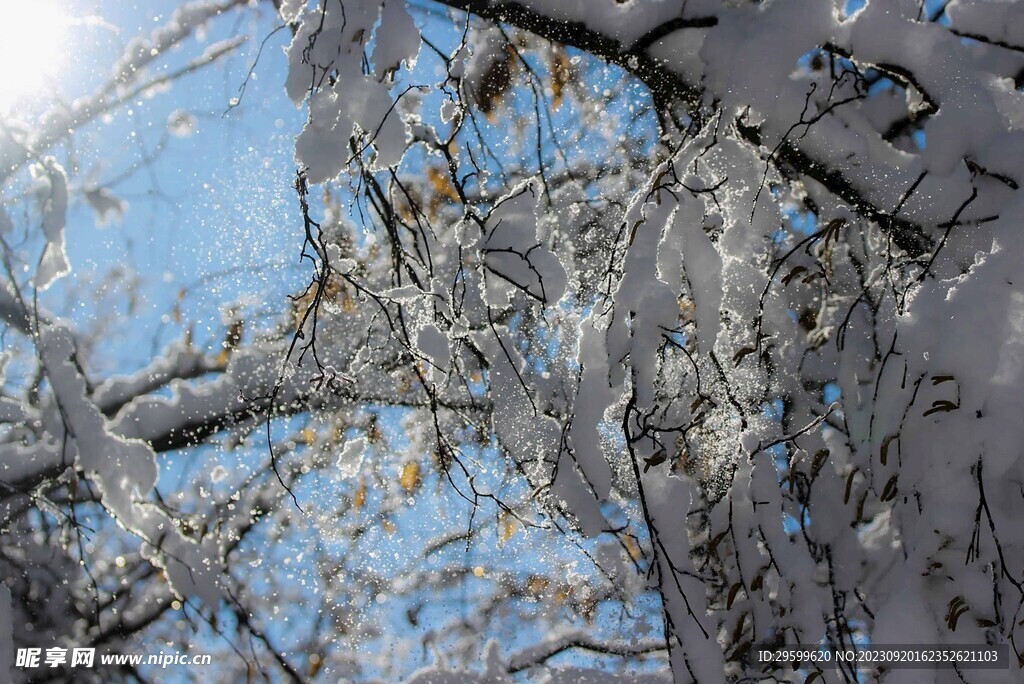 雪景