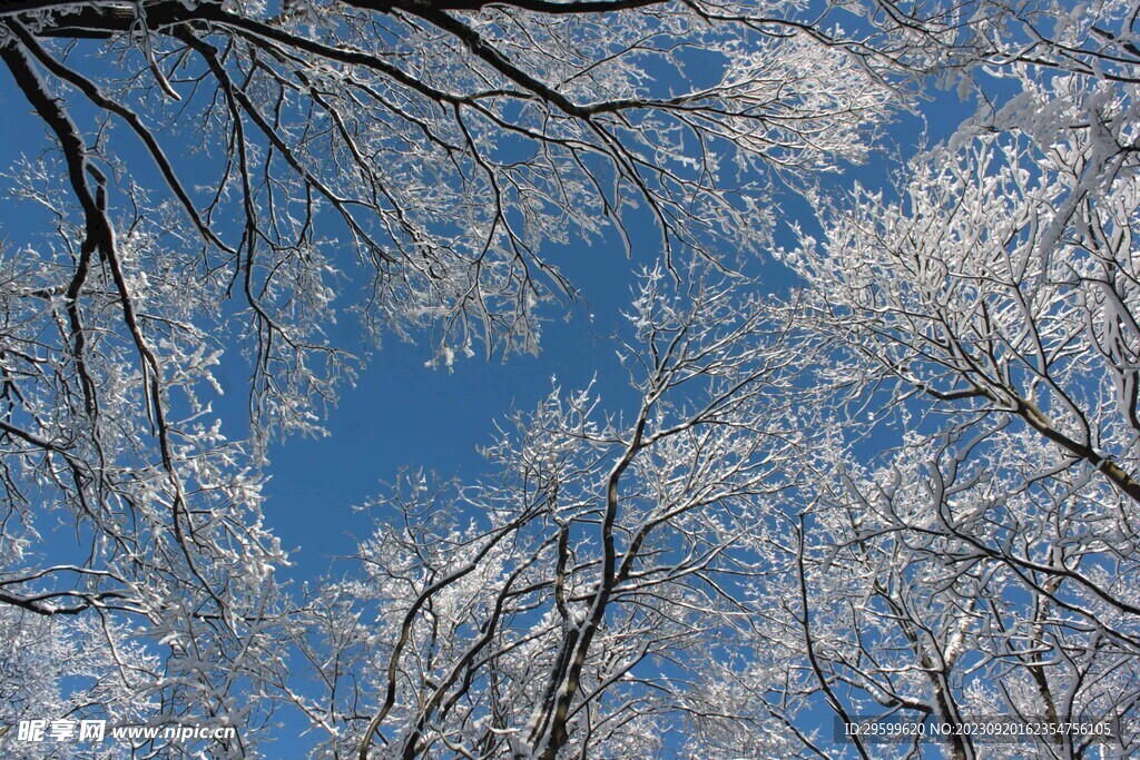 雪景