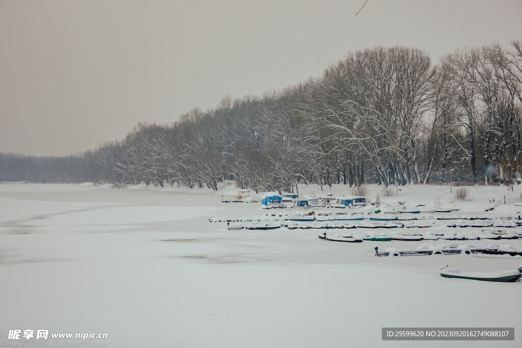 雪景