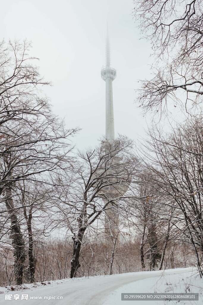 雪景