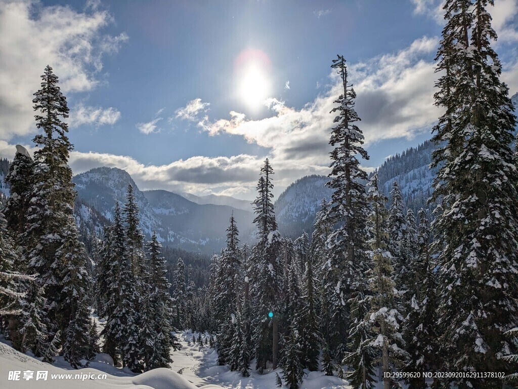雪景