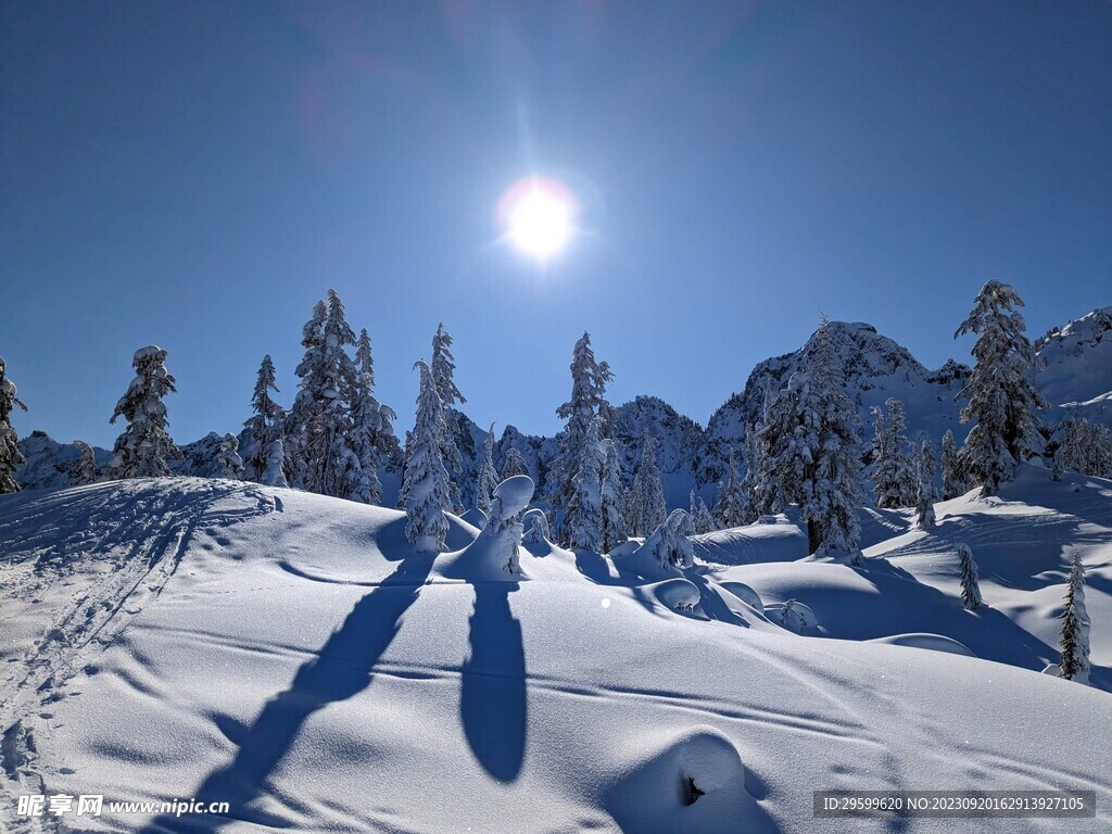 雪景