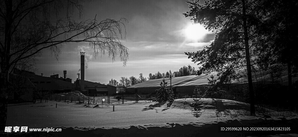 雪景